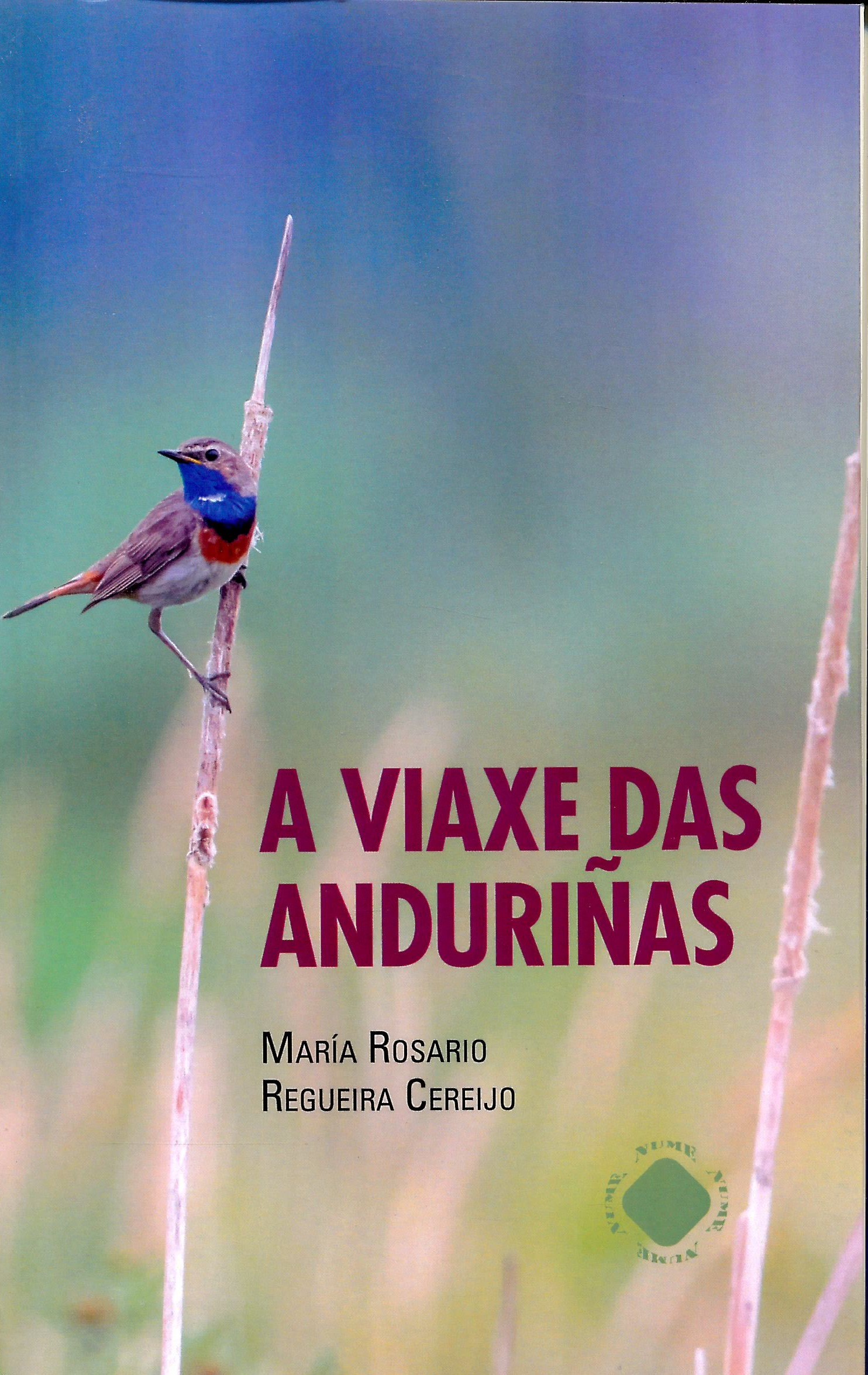A VIAXE DAS ANDURIÑAS