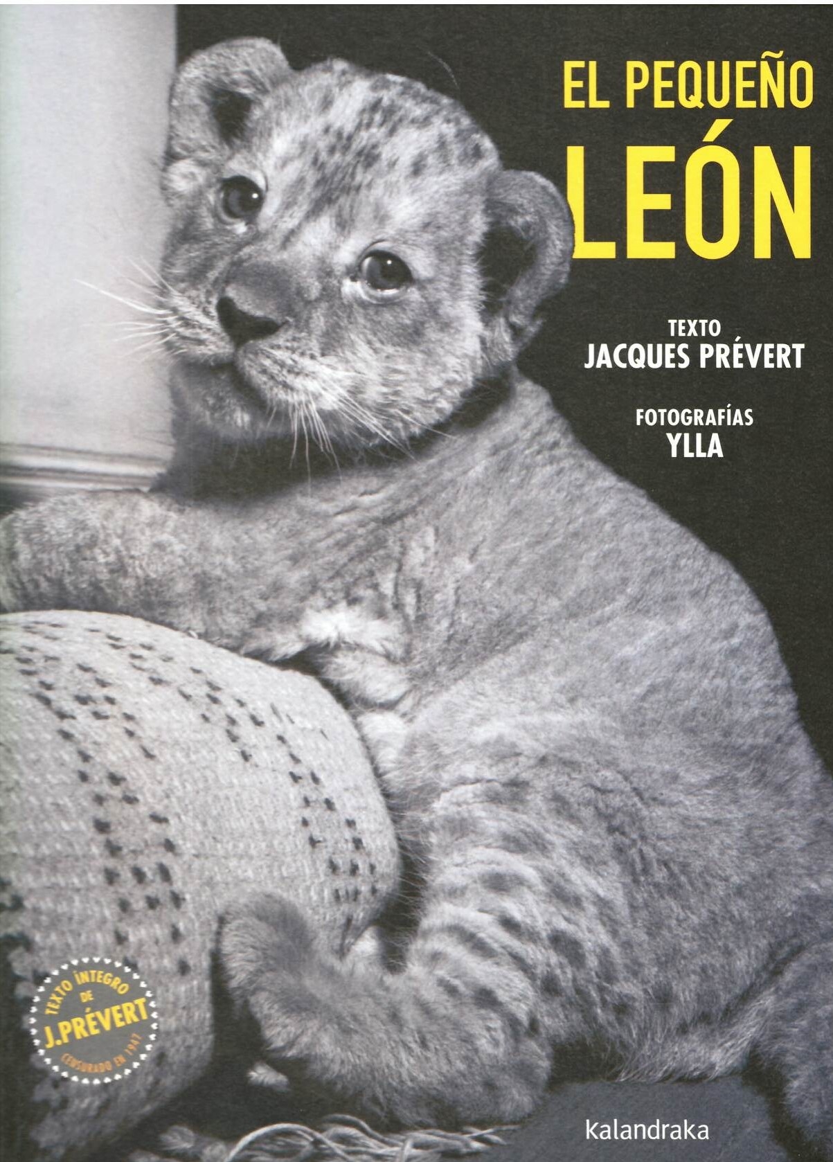 EL PEQUEÑO LEÓN