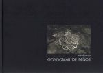 RETALLOS DE GONDOMAR DE MIÑOR