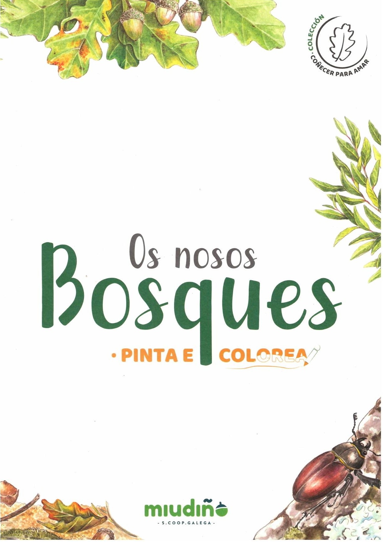 OS NOSOS BOSQUES. PINTA E COLOREA