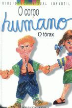 O TORAX.O CORPO HUMANO.