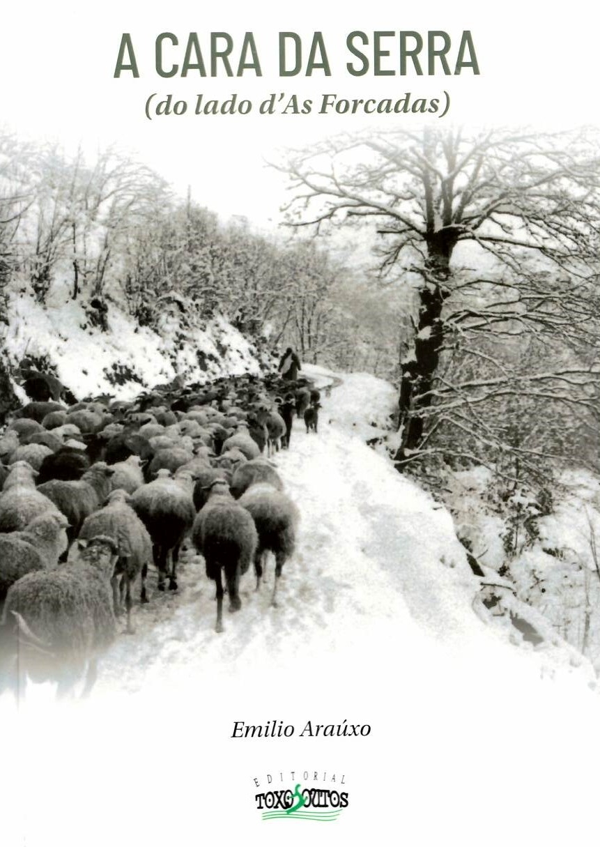 A CARA DA SERRA